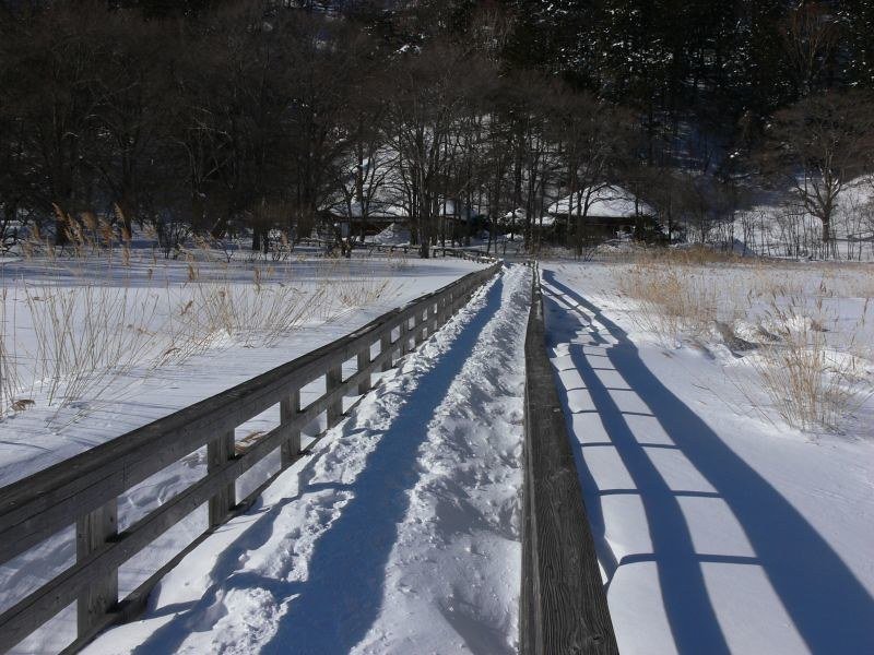 ♨️ 오쿠닛코 유모토 온천 원천(오쿠닛코유모토온센겐센) 이미지 4